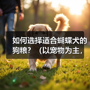 如何选择适合蝴蝶犬的狗粮？（以宠物为主，让蝴蝶犬健康成长）