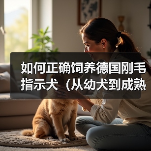 如何正确饲养德国刚毛指示犬（从幼犬到成熟期，一步步指导饲养方法）（图4）