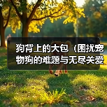 狗背上的大包（困扰宠物狗的难题与无尽关爱）（图4）