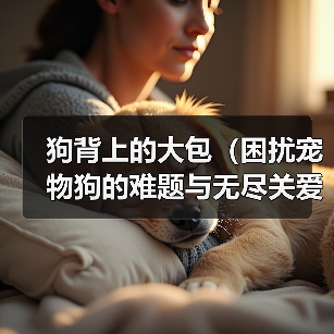 狗背上的大包（困扰宠物狗的难题与无尽关爱）（图2）