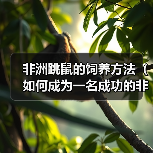 非洲跳鼠的饲养方法（如何成为一名成功的非洲跳鼠养殖者）（图3）