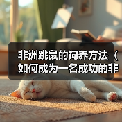 非洲跳鼠的饲养方法（如何成为一名成功的非洲跳鼠养殖者）（图4）