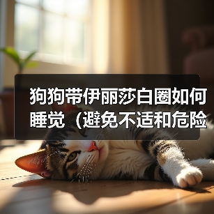 狗狗带伊丽莎白圈如何睡觉（避免不适和危险，健康照顾）（图4）