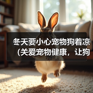 冬天要小心宠物狗着凉（关爱宠物健康，让狗狗过一个温暖的冬天）