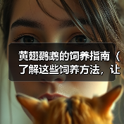 黄翅鹦鹉的饲养指南（了解这些饲养方法，让你的黄翅鹦鹉健康快乐）（图2）
