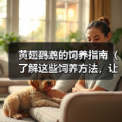 黄翅鹦鹉的饲养指南（了解这些饲养方法，让你的黄翅鹦鹉健康快乐）（图4）