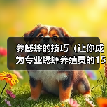 养蟋蟀的技巧（让你成为专业蟋蟀养殖员的15个秘诀）（图3）