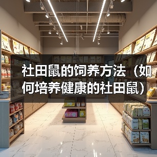社田鼠的饲养方法（如何培养健康的社田鼠）（图3）