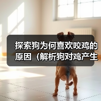探索狗为何喜欢咬鸡的原因（解析狗对鸡产生强烈咬咬欲的根源）（图3）