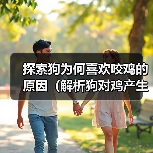 探索狗为何喜欢咬鸡的原因（解析狗对鸡产生强烈咬咬欲的根源）（图4）