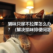 猫咪只尿不拉屎怎么办？（解决猫咪排便问题的有效方法）（图3）