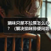 猫咪只尿不拉屎怎么办？（解决猫咪排便问题的有效方法）（图2）