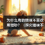 为什么有的猫咪不喜欢用猫砂？（探究猫咪不喜欢用猫砂的原因和解决方法）