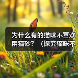 为什么有的猫咪不喜欢用猫砂？（探究猫咪不喜欢用猫砂的原因和解决方法）（图3）