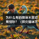为什么有的猫咪不喜欢用猫砂？（探究猫咪不喜欢用猫砂的原因和解决方法）（图4）