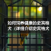 如何饲养健康的史宾格犬（详细介绍史宾格犬的饲养方法，让您的爱宠健康成长）（图3）