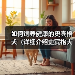 如何饲养健康的史宾格犬（详细介绍史宾格犬的饲养方法，让您的爱宠健康成长）（图4）