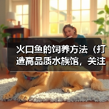 火口鱼的饲养方法（打造高品质水族馆，关注饲养技巧）（图2）
