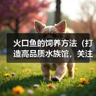 火口鱼的饲养方法（打造高品质水族馆，关注饲养技巧）