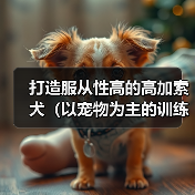 打造服从性高的高加索犬（以宠物为主的训练要点和技巧）