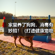 家里养了狗狗，消毒有妙招！（打造健康宠物居家环境，让爱宠和家人更安心）