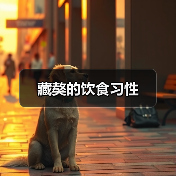 藏獒的饮食习性（图3）