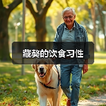 藏獒的饮食习性（图2）