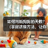 如何判断狗狗的天数？（掌握这些方法，让你不再为狗狗的年龄而烦恼）（图4）