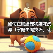 如何正确给宠物猫咪洗澡（掌握关键技巧，让猫咪洗澡不再难）（图3）