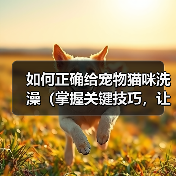 如何正确给宠物猫咪洗澡（掌握关键技巧，让猫咪洗澡不再难）（图4）