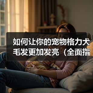 如何让你的宠物格力犬毛发更加发亮（全面指导宠物主人如何选食、清洁和调养，让宠物犬毛发更加光亮）（图4）