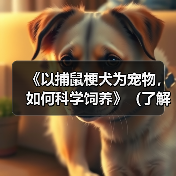 《以捕鼠梗犬为宠物,如何科学饲养》(了解捕鼠梗犬的特点,让它成为你的忠实伴侣)(图3) 《以捕鼠梗犬为宠物,如何科学饲养》(了解捕鼠梗犬的特点,让它成为你的忠实伴侣)(图3)