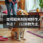 如何避免狗狗被陌生人叫走?(以宠物为主,注意安全!)(图4) 如何避免狗狗被陌生人叫走?(以宠物为主,注意安全!)(图4)