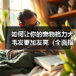 如何让你的宠物格力犬毛发更加发亮（全面指导宠物主人如何选食、清洁和调养，让宠物犬毛发更加光亮）（图2）