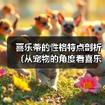 喜乐蒂的性格特点剖析（从宠物的角度看喜乐蒂的性格特点）