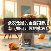 紫衣仓鼠的全面饲养指南(如何让你的紫衣仓鼠健康快乐成长?)(图4) 紫衣仓鼠的全面饲养指南(如何让你的紫衣仓鼠健康快乐成长?)(图4)