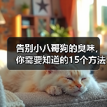告别小八哥狗的臭味，你需要知道的15个方法（如何消除小八哥狗的臭味？去除狗味的有效技巧）（图2）