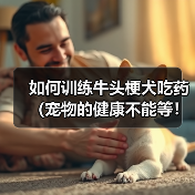 如何训练牛头梗犬吃药（宠物的健康不能等！——以牛头梗犬为例，教您如何让它乖乖吃药）（图4）