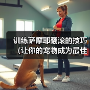 训练萨摩耶翻滚的技巧（让你的宠物成为最佳表演者）