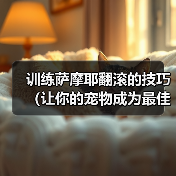 训练萨摩耶翻滚的技巧（让你的宠物成为最佳表演者）（图3）