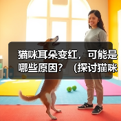 猫咪耳朵变红，可能是哪些原因？（探讨猫咪耳朵变红的原因，提供解决方案）（图3）