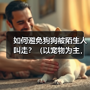 如何避免狗狗被陌生人叫走?(以宠物为主,注意安全!)(图3) 如何避免狗狗被陌生人叫走?(以宠物为主,注意安全!)(图3)