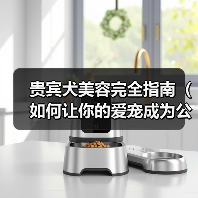 贵宾犬美容完全指南(如何让你的爱宠成为公主般的存在)(图1) 贵宾犬美容完全指南(如何让你的爱宠成为公主般的存在)(图1)