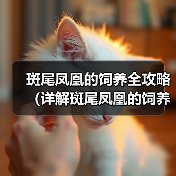斑尾凤凰的饲养全攻略（详解斑尾凤凰的饲养技巧和注意事项）（图3）