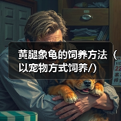 黄腿象龟的饲养方法（以宠物方式饲养/）
