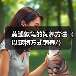 黄腿象龟的饲养方法（以宠物方式饲养/）（图2）