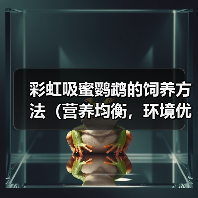 彩虹吸蜜鹦鹉的饲养方法（营养均衡，环境优美，关爱宠物）