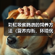 彩虹吸蜜鹦鹉的饲养方法（营养均衡，环境优美，关爱宠物）（图2）