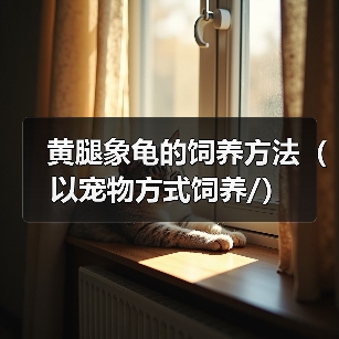 黄腿象龟的饲养方法（以宠物方式饲养/）（图4）