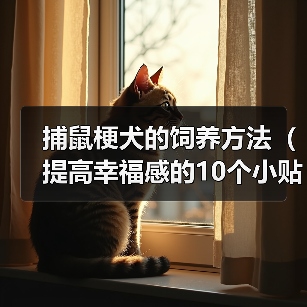 捕鼠梗犬的饲养方法（提高幸福感的10个小贴士）（图3）